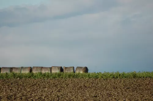 Strohballen in Scharten